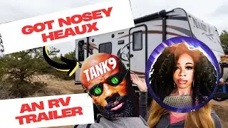 Bought Nosey Heaux An RV For Us To Work on Her 7 MILLION DOLLAR MOBILE APP! #NoseyHeaux #TaNK9Code