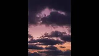 untitled 20