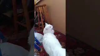 ?!&£#!:+£