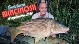 Mincinoșii - 15 septembrie 2024