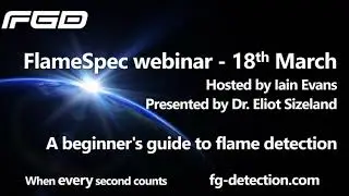 A Beginner's Guide to Flame Detection