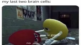 Memes i watch with my last 2 brain cells