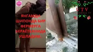 +18 ФЕРМЕР АМ БИЛАН КУЛГА ТУШДИ / ШОК