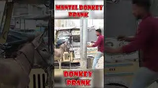 Donkey Prank🔥🔥🔥