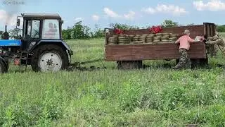 Урожайность Херсонщины 2023