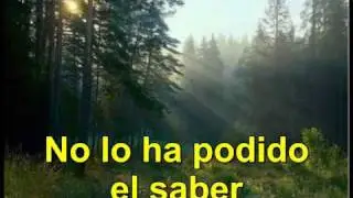 Volver a los 17