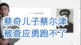 董军被抓，蔡奇儿子蔡尔津被中纪委带走调查。朱芝松被抓，金壮龙和应勇也快了。工行前副行长张红力案。