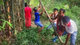 Bamboo Cutting For Radha Krishna Jhulan Yatra Pandal | Cutting vlog | village vlog #jhulanyatra