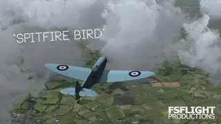 FSX/WT Movie | Spitfire Bird | HD