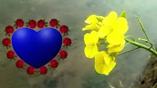 Photo Frame Green Screen Wedding Background Animated || Nature Shaadi Background Green Screen Video