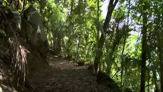 A Grain of Sand 2009 Full Documentary