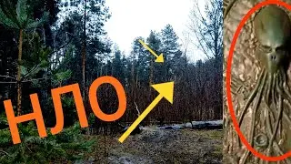 НЛО. Истребленные цивилизации