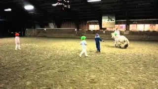 Juleshow Voltige