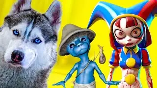 ALL MONSTERS FALL 2023!! MEGA COLLECTION!! (Husky Bandit) Talking dog