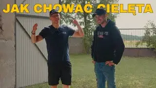 Chów cieląt - perspektywa Łukasza, który odchował setki bydlaków.