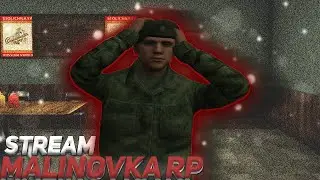 ВЕЧЕРНИЙ СТРИМ МАЛИНОВКА РП | ꜱᴛʀᴇᴀᴍ ᴍᴀʟɪɴᴏᴠᴋᴀ | ОБЩЕНИЕ | ДОТА