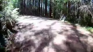 whypass - trail name: mama tried
