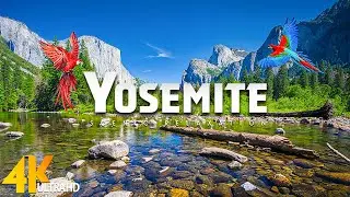Yosemite National Park 4K • Amazing Aerial Film Scenery with Inspirational Cinematic Music