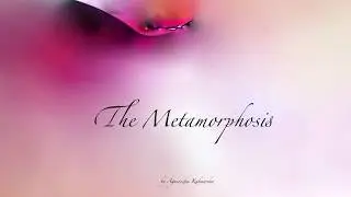 The Metamorphosis