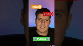 Ввод и вывод данных на python 