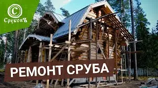 Страшные ошибки при строительстве дома | Собираем грибы на срубе из бревна