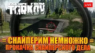 Снайперское дело в Таркове - повышаем уровень владения