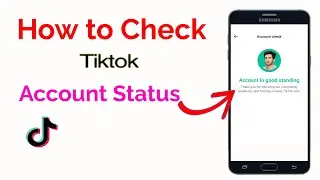 How to check titktok account status
