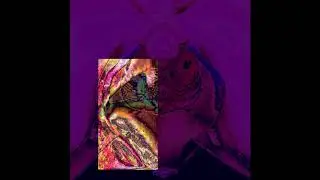 Verjault - Slow [My Bloody Valentine cover]