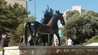 התבוננות בגן הסוס במרכז ירושלים עם פזילה קלה מסביב 21.7.2019
