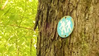 Backpacking and the Coronavirus Pandemic - a Feature