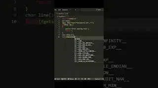 READING A txt FILE IN C SHORTS