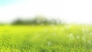 Free Springtime Background Loop