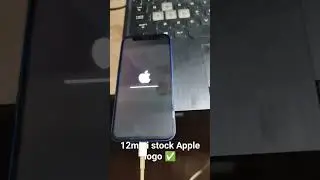 12mini stock Apple logo ✅ #music #apple #12mini