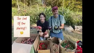The End of our Harvest?