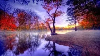 Bellos Paisajes !!! 