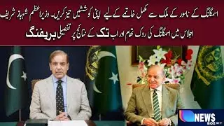 A review meeting on the prevention of smuggling under the chairmanship of Shahbaz Sharif