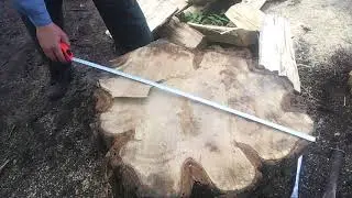 Колка большого пня с помощью клиньев