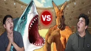 Reaction Time Vs Shark! (Beast Battle Simulator)