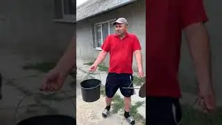 Зять заховався в кукурузі🤣 від тещі 