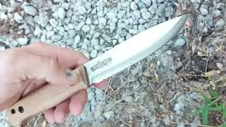 Kizlyar Supreme Forester