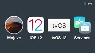 Managing MacOS Mojave and iOS 12 Updates