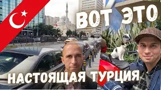 A Walk Through Istanbul | The Atmosphere of Turkey, New Emotions, and New Strength