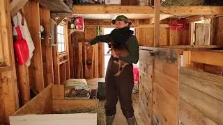 Goat Mini Barn UPDATED Tour