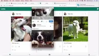 Clone mạng xã hội facebook