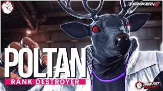Tekken 8 ▰ Poltan's Armor King Destroys High Rank Players! ▰ High Level Gameplay