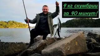 4КГ СКУМБРИИ ЗА 40 МИНУТ! Рыбалка в Норвегии. Выпуск 9