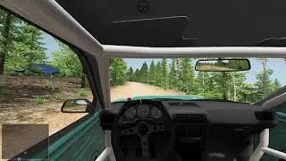 Rally Test