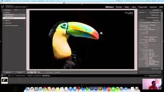 Curso de Lightroom básico ¿Como usar Lightroom?