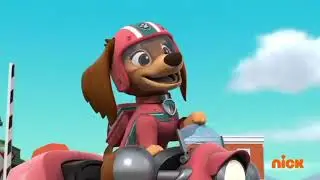 PAW Patrol | Liberty Makes a New Friend