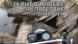 КАКУЮ СЕТЬ ЛУЧШЕ ЛОВИТЬСЯ ПОЛОТНЯНУЮ ИЛИ ЛЯЩАННУЮ?